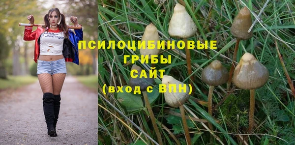 прущая мука Армянск