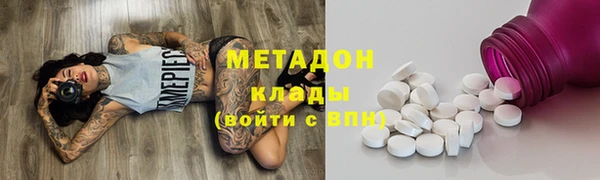 прущие грибы Алексеевка