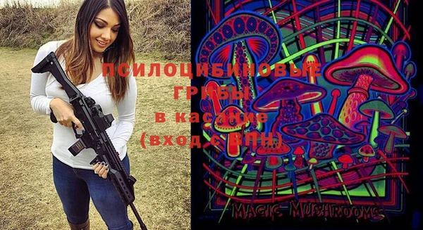 а пвп мука Аркадак
