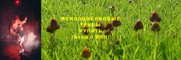 прущая мука Армянск
