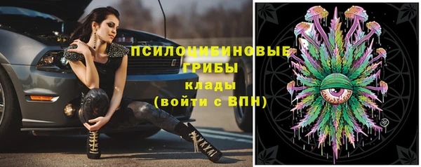 jwh Саяногорск