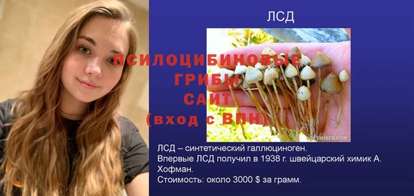 экстази Арсеньев